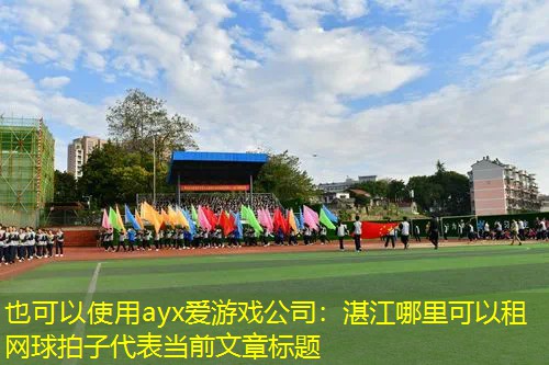 ayx爱游戏公司：湛江哪里可以租网球拍子