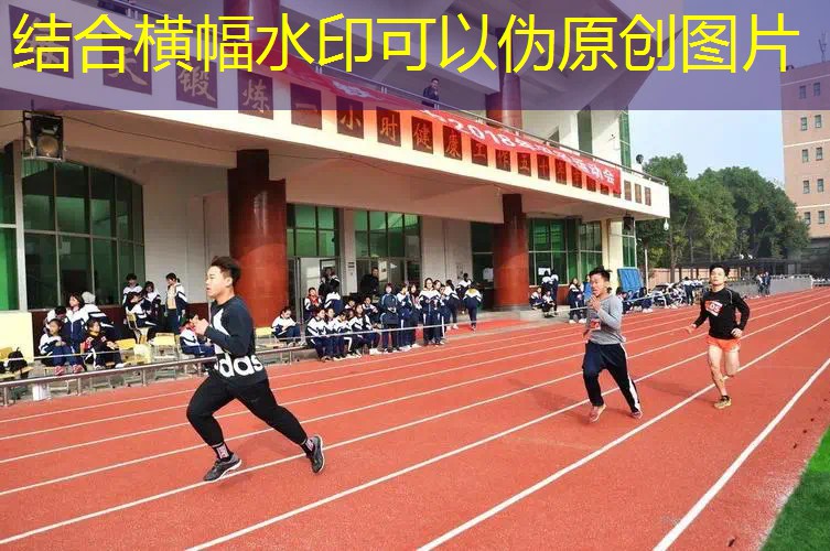 爱游戏中国官方网站：室内健身国际标准规范