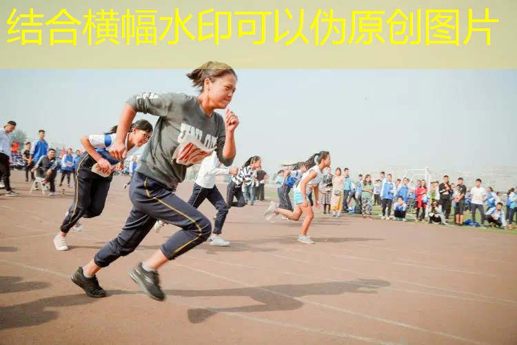 安全放心，品质保证！蜜蜂儿童滑梯为孩子带来欢愉
