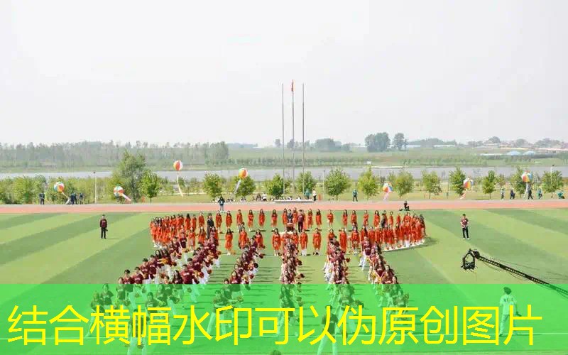 网球拍手胶橙色是什么