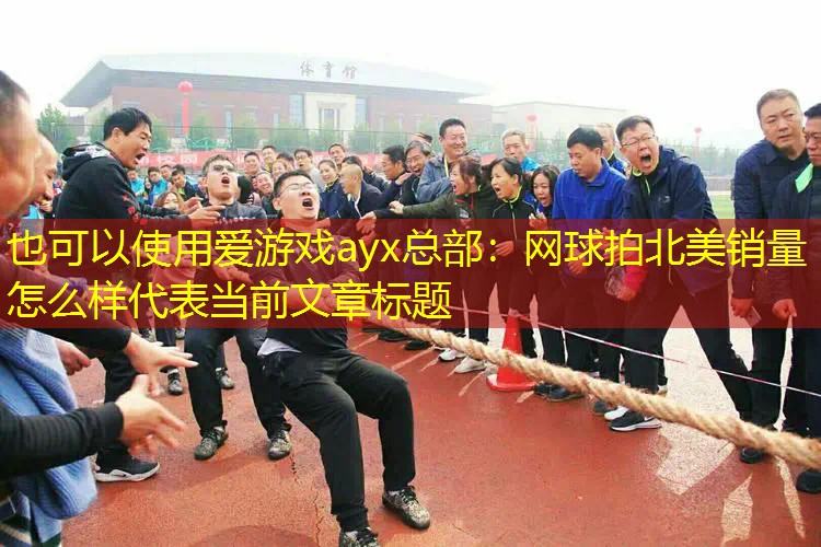 网球拍北美销量怎么样