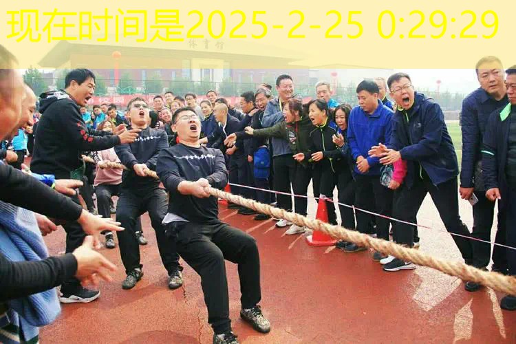 爱巢网球拍怎么装回去