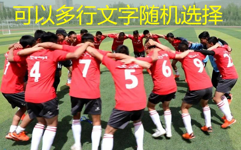 百宝力专业网球拍正品 百宝力专业网球拍正品