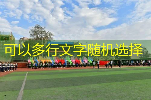 测评平价网球拍的软件叫什么 测评平价网球拍的软件叫什么