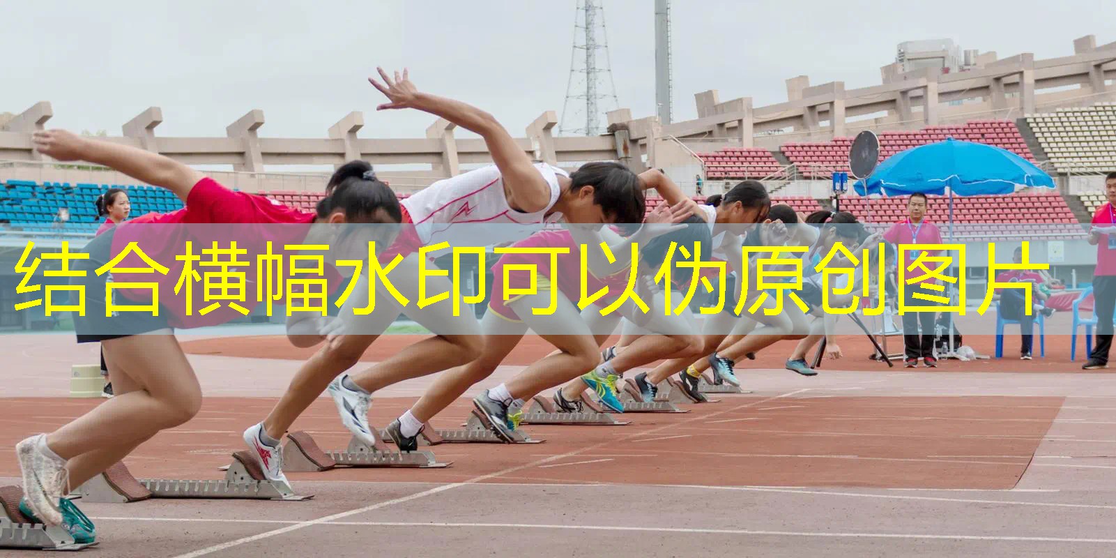 威尔逊网球拍的种类