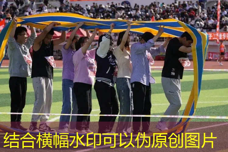 网球拍为什么有纽扣标志