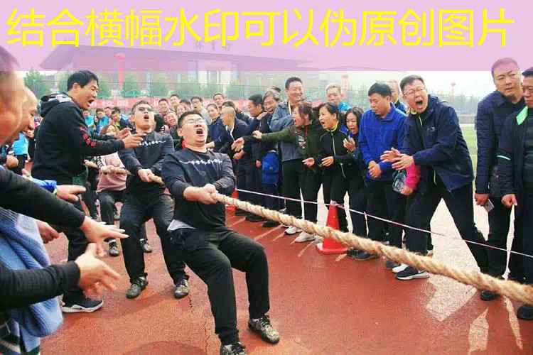 小孩用什么网球拍线最好