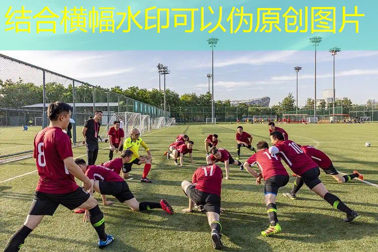 女士进阶网球拍怎么选尺码