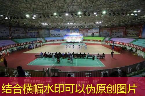 网球拍子有什么用的材质
