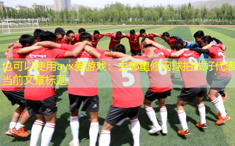 去哪里修网球拍线好 去哪里修网球拍线好
