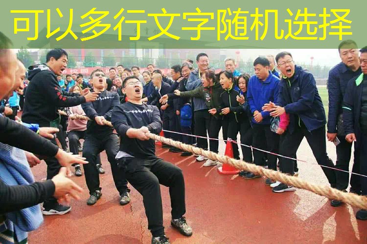 百元网球拍性价比之王 百元网球拍性价比之王