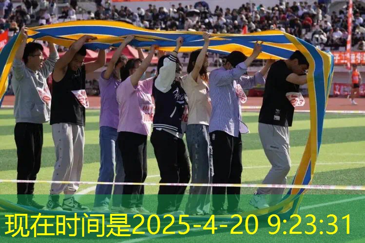 网球拍成人单拍碳素