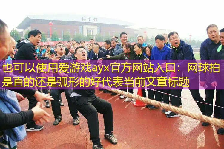 网球拍是直的还是弧形的好 网球拍是直的还是弧形的好