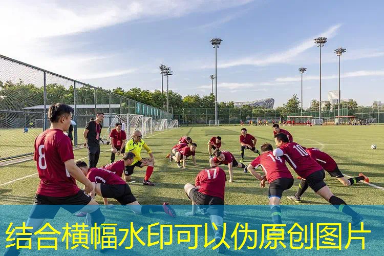 百宝丽网球拍哪里的