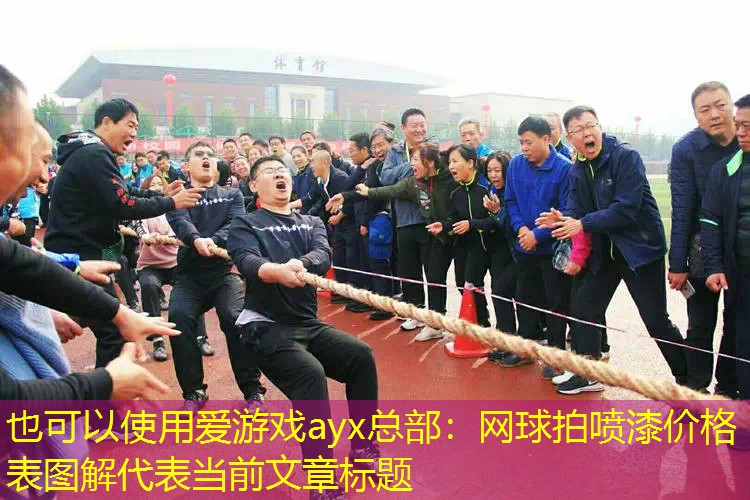 网球拍喷漆价格表图解