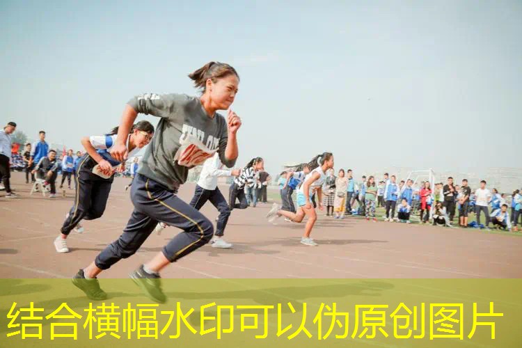 网球拍线哪种材料容易断