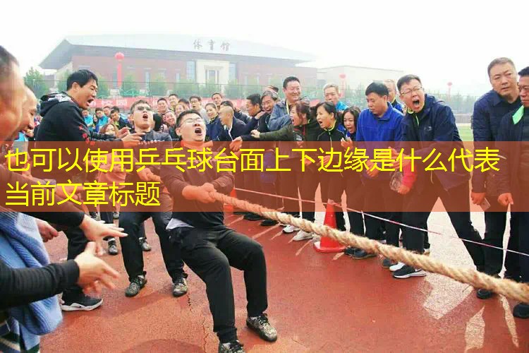 乒乓球台面上下边缘是什么