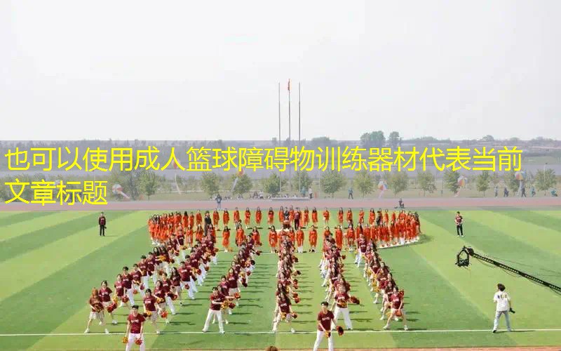 成人篮球障碍物训练器材